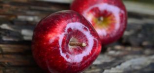 apple-red-apple-fruit-red-38240