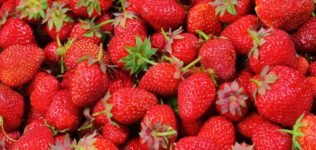 strawberries-berries-fruit-freshness-46174
